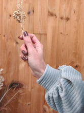 Sweat Sacha - velours Lagon